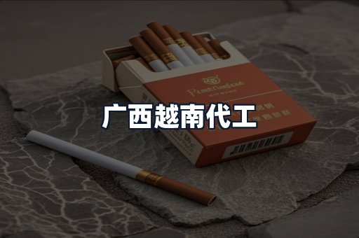 广西越南代工